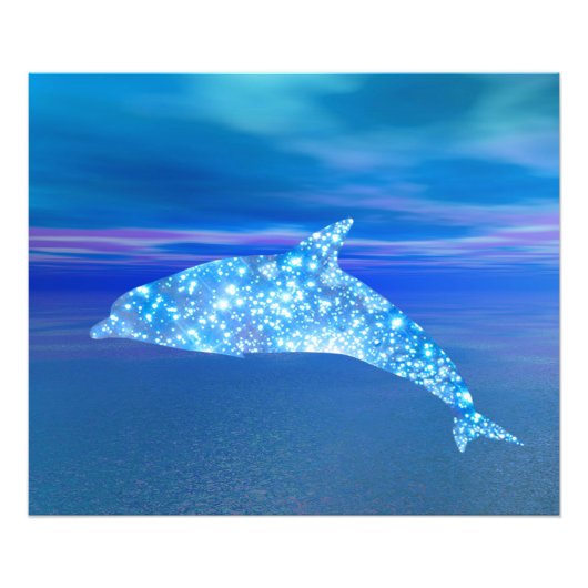 Star Dolphin Foto Afdruk (Voorkant)