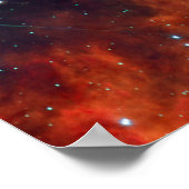 Star Dolphins Poster (Hoek)