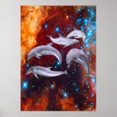 Star Dolphins Poster (Voorkant)