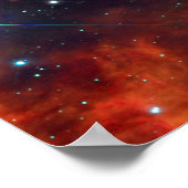 Star Dolphins Poster (Hoek)