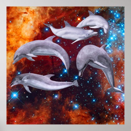 Star Dolphins Poster (Voorkant)