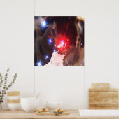 Star Dreamweaver Poster (Keuken)