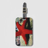 Star Fish | Rood Zee Bagagelabel (Voorkant (verticaal))