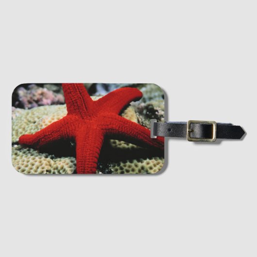 Star Fish | Rood Zee Bagagelabel (Voorkant (horizontaal))