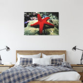 Star Fish | Rood Zee Canvas Afdruk (Insitu (Slaapkamer))