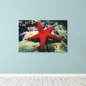Star Fish | Rood Zee Canvas Afdruk (Insitu (Houten vloer))