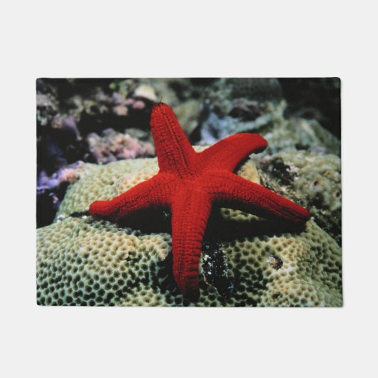 Star Fish | Rood Zee Deurmat (Voorkant)