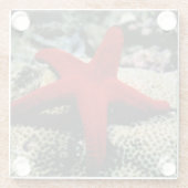 Star Fish | Rood Zee Glazen Onderzetter (Achterkant)