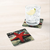 Star Fish | Rood Zee Kartonnen Onderzetters (Insitu)