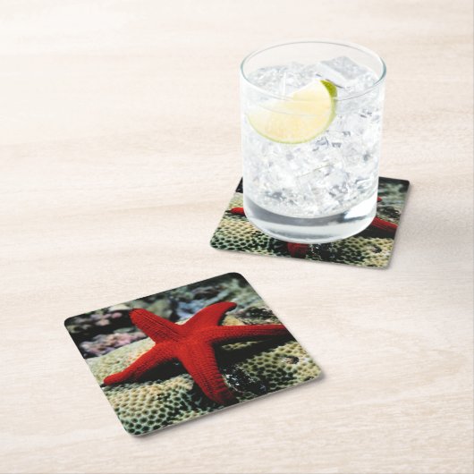 Star Fish | Rood Zee Kartonnen Onderzetters (Insitu)