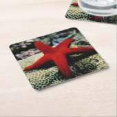 Star Fish | Rood Zee Kartonnen Onderzetters (Schuin)