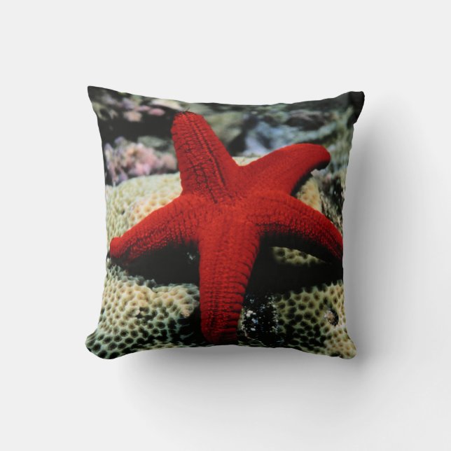Star Fish | Rood Zee Kussen (Voorkant)