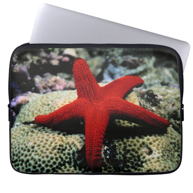 Star Fish | Rood Zee Laptop Sleeve (Voorkant)