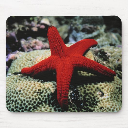 Star Fish | Rood Zee Muismat (Voorkant)