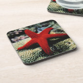 Star Fish | Rood Zee Onderzetter (Linkerzijde)