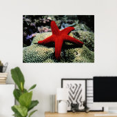 Star Fish | Rood Zee Poster (Thuiskantoor)