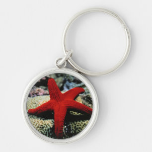 Star Fish   Rood Zee Sleutelhanger