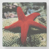 Star Fish | Rood Zee Stenen Onderzetter (Voorkant)