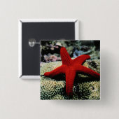 Star Fish | Rood Zee Vierkante Button 5,1 Cm (Voorkant /achterkant)