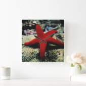 Star Fish | Rood Zee Vierkante Klok (Huis)