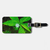 Star Flower a White Wilflower Abstract Bagagelabel (Voorkant horizontaal)