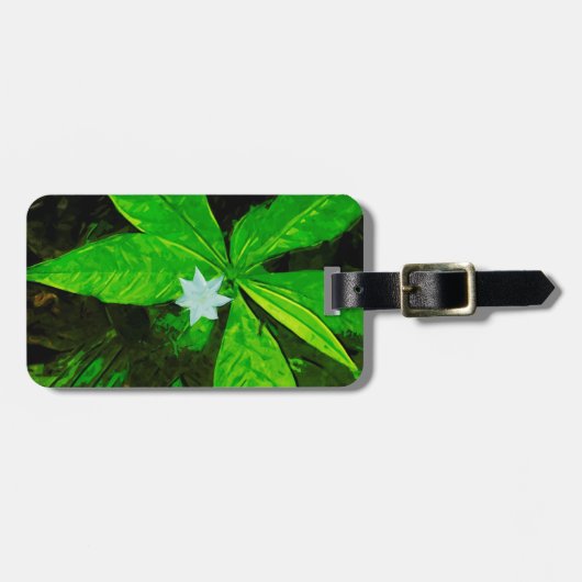 Star Flower a White Wilflower Abstract Bagagelabel (Voorkant horizontaal)