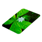 Star Flower a White Wilflower Abstract Magneet (Linkerzijde)