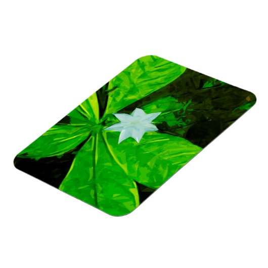 Star Flower a White Wilflower Abstract Magneet (Linkerzijde)