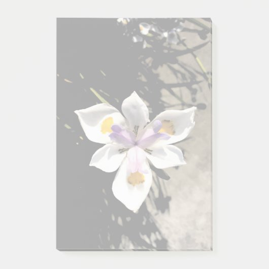 Star Flower Post-it® Notes (Voorkant)