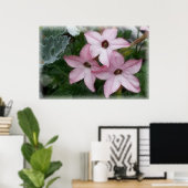 Star Flowers Nicotania Poster (Thuiskantoor)