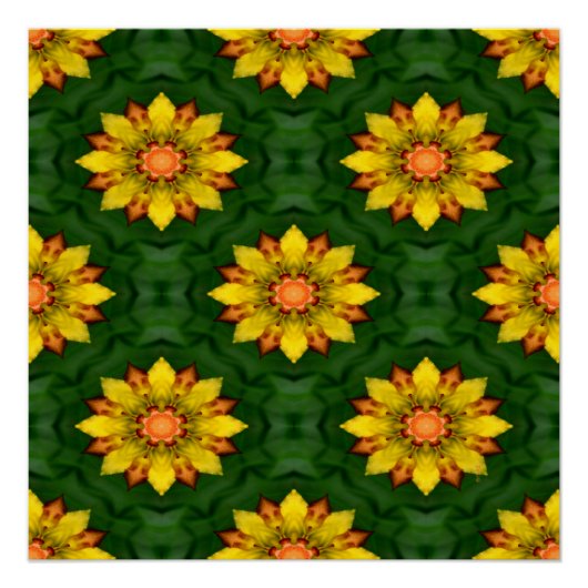 Star Flowers... Perfect Poster (Voorkant)
