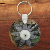 Star Fungus Sleutelhanger (Voorkant)