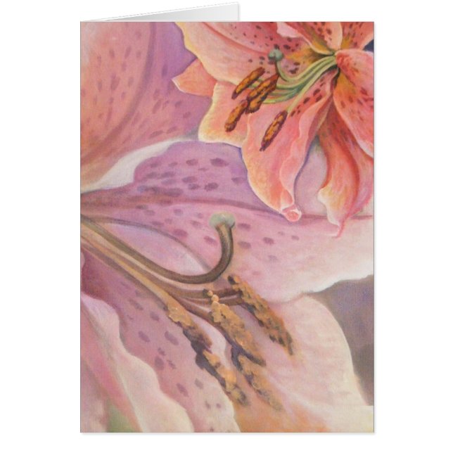 Star Gazer (Voorkant)