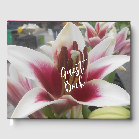 Star Gazer Gastenboek (Voorkant)