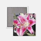 Star Gazer Lily Kunstmagneet Magneet (Voorkant / Achterkant)