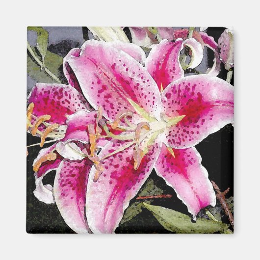 Star Gazer Lily Kunstmagneet Magneet (Voorkant)