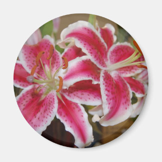 Star Gazer Lily ronde magneet