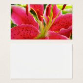 Star Gazer Lily Visitekaartje (Voorkant /achterkant)