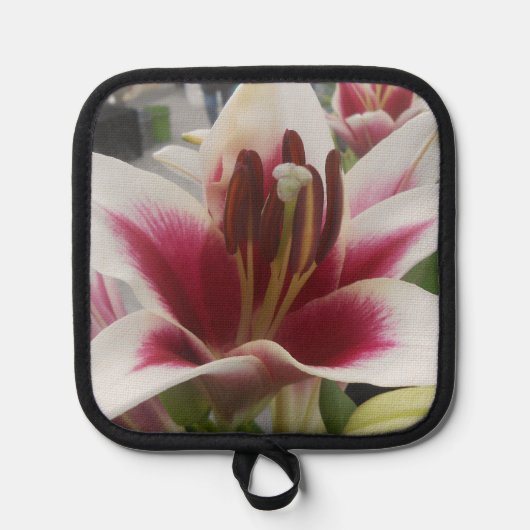 Star Gazer Pannenlap (Voorkant)