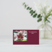 Star Gazer Visitekaartje (Staand voorkant)