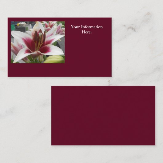 Star Gazer Visitekaartje (Voorkant / Achterkant)