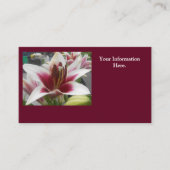 Star Gazer Visitekaartje (Voorkant)