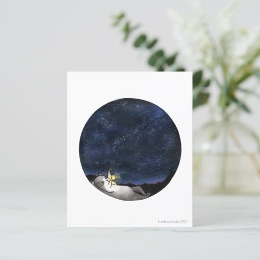 Star GazerCat (Staand voorkant)