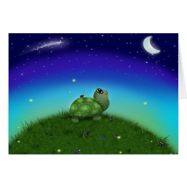 Star Gazing Turtle (Voorkant Horizontaal)