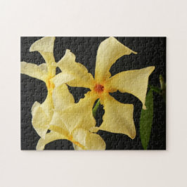 Star Jasmijn Bloem 11x14 252pc jpcnm Legpuzzel