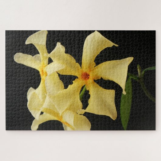 Star Jasmijn Bloem 20x30 1014pc jpcnm Legpuzzel (Horizontaal)