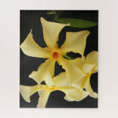 Star Jasmine Bloem 16x20 520pc jpa Legpuzzel (Verticaal)