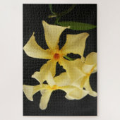 Star Jasmine Flower 20x30 1014pc jpa Legpuzzel (Verticaal)