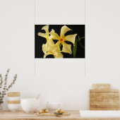 Star Jasmine Flower Wapa Poster (Keuken)