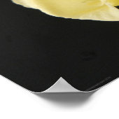 Star Jasmine Flower wapcnm Poster (Hoek)